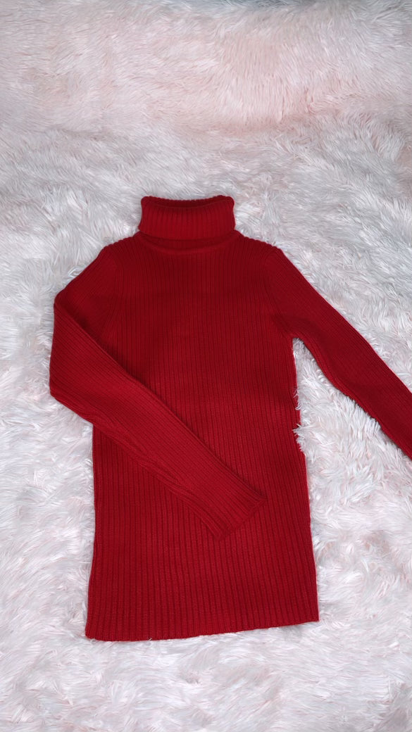 Turtle Neck Sweater